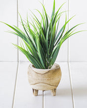 Load image into Gallery viewer, lark timber pot planter
